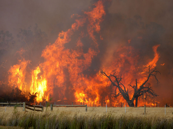 Why Australia won't get its act together on actions to prevent more fires